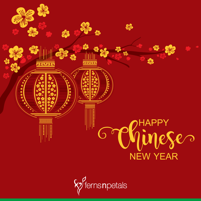 Detail Quotes About Lunar New Year Nomer 26