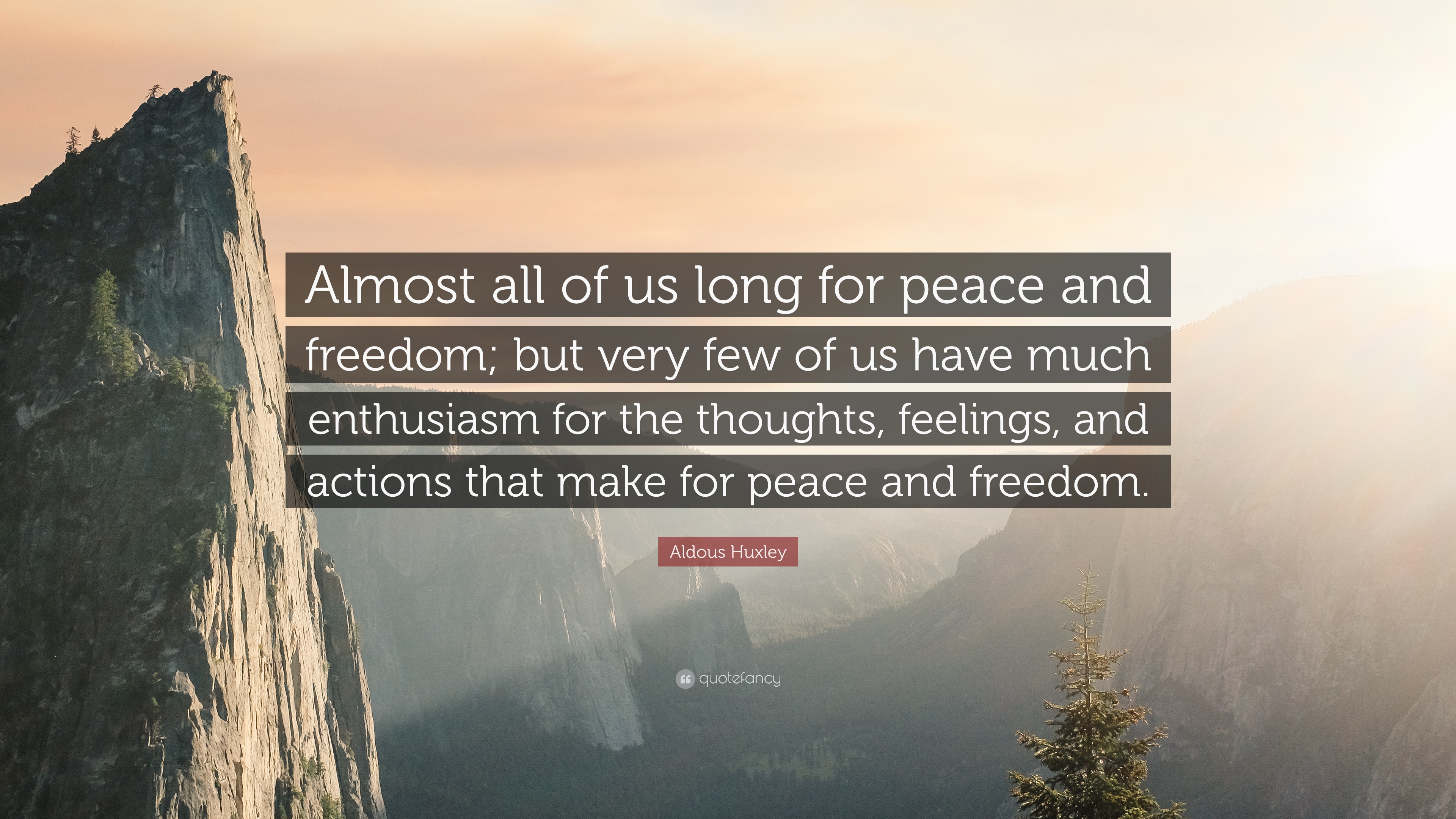 Detail Quotes About Peace And Freedom Nomer 24