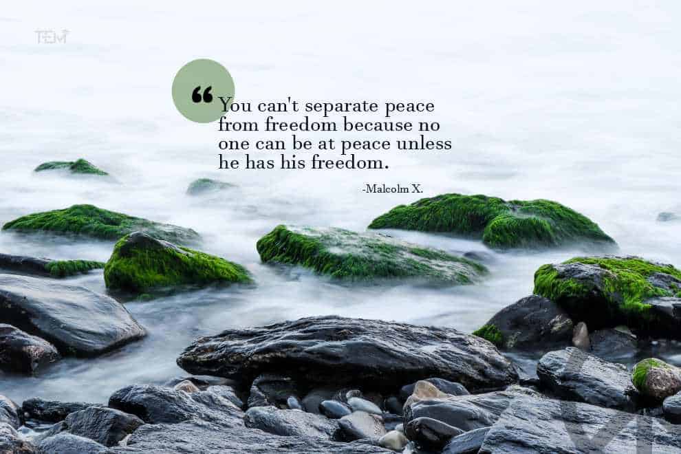 Detail Quotes About Peace And Freedom Nomer 30