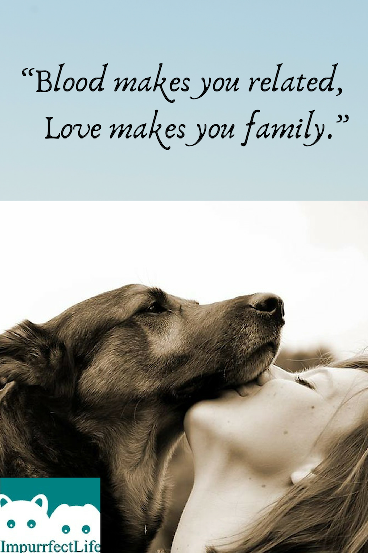 Detail Quotes About Pets Being Family Nomer 3