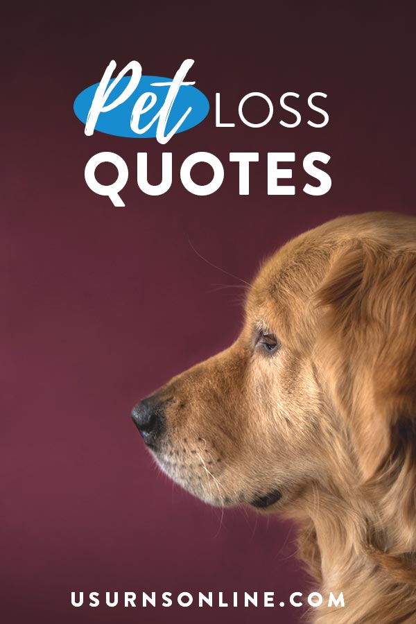 Detail Quotes About Pets Being Family Nomer 46