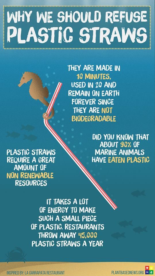 Detail Quotes About Plastic Straws Nomer 25