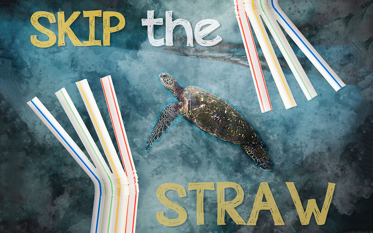 Detail Quotes About Plastic Straws Nomer 33