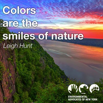 Detail Quotes About Smile And Nature Nomer 5