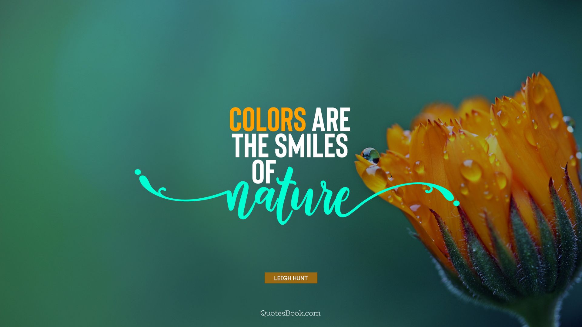 Detail Quotes About Smile And Nature Nomer 9