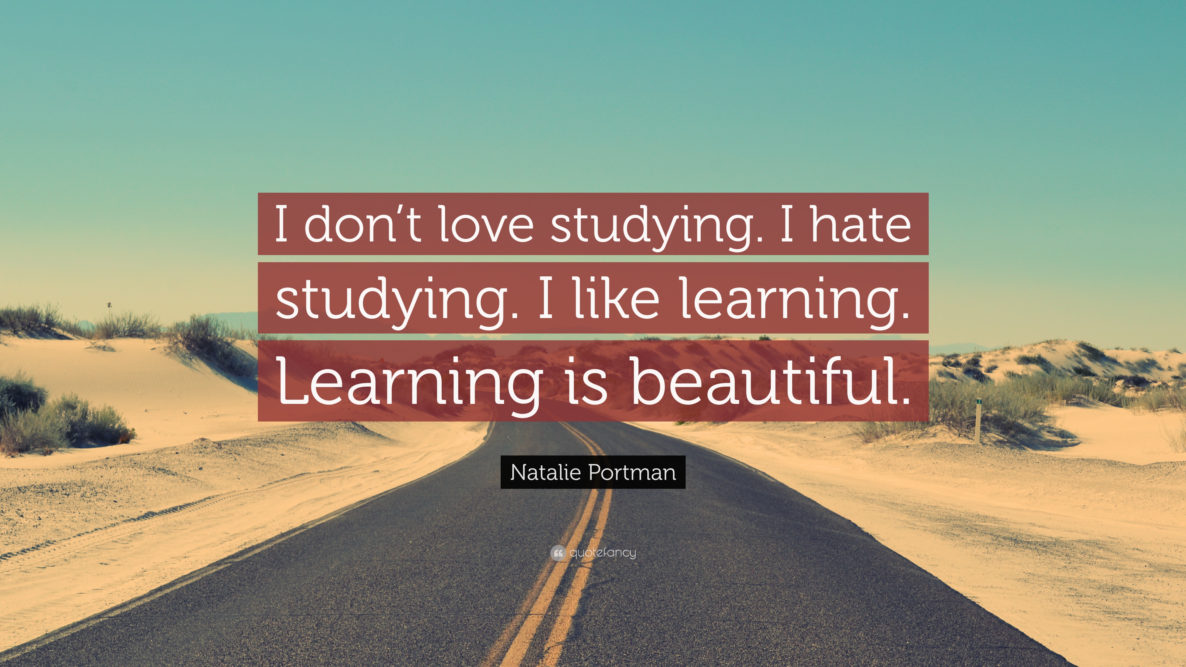 Detail Quotes About Studying And Learning Nomer 55