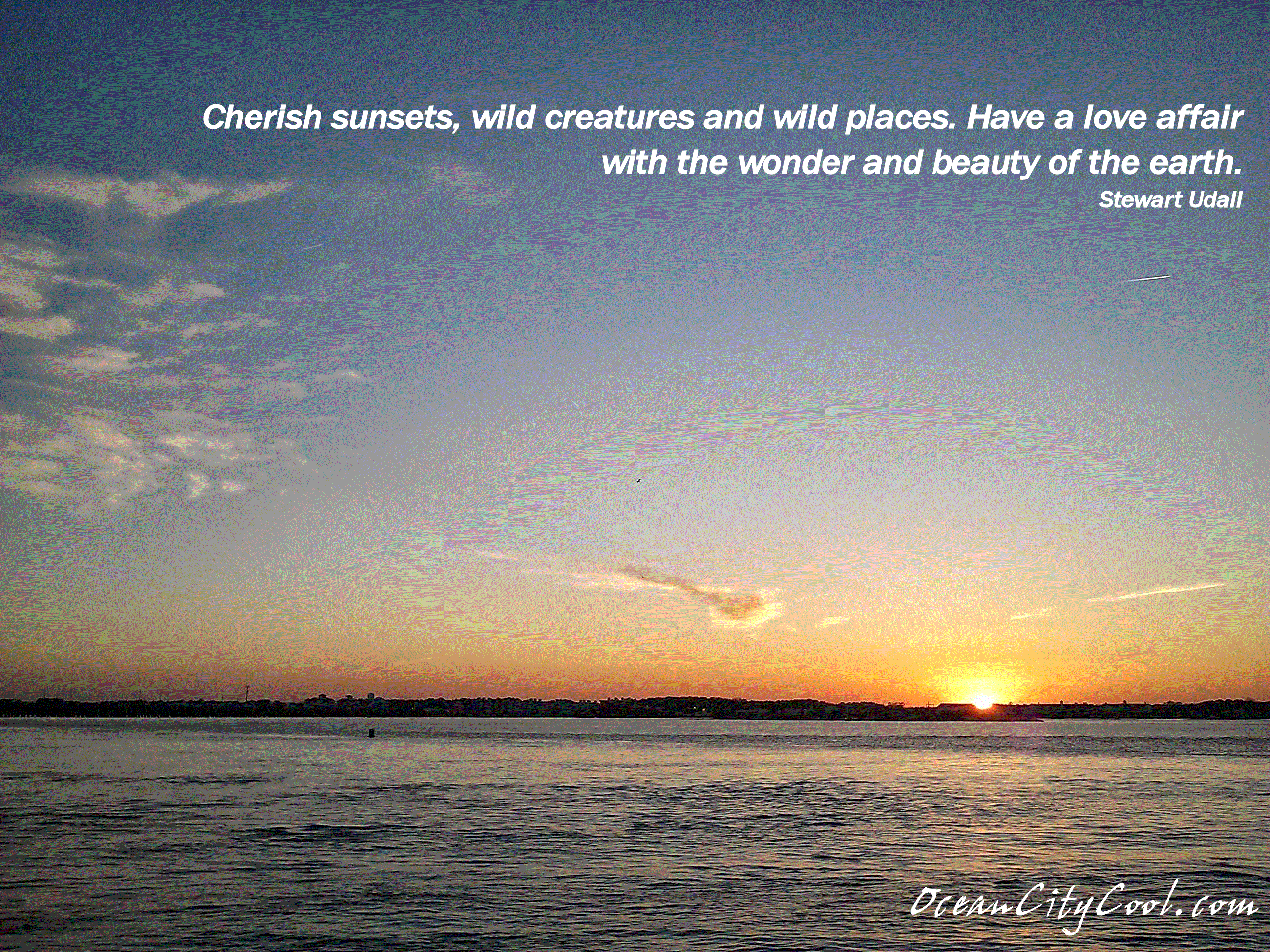 Detail Quotes About Sunset And Sea Nomer 37