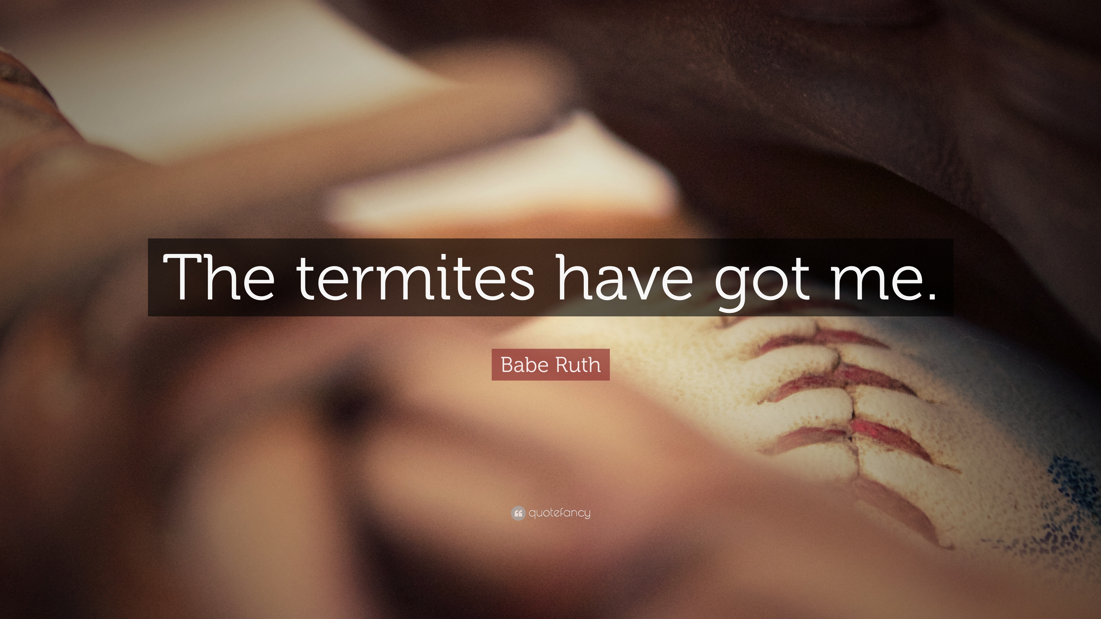 Detail Quotes About Termites Nomer 10