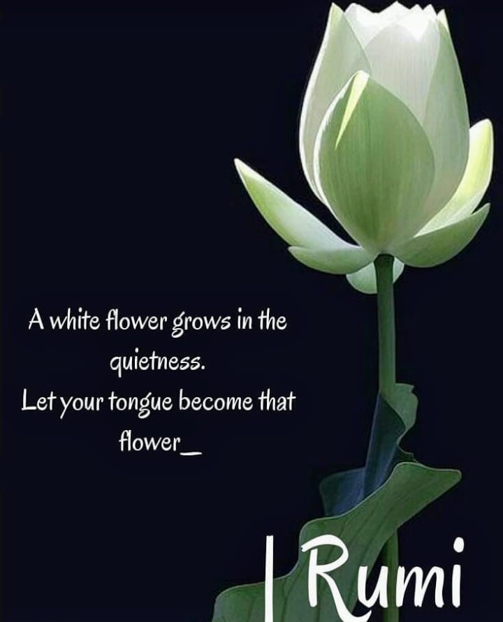 Detail Quotes About White Flowers Nomer 15
