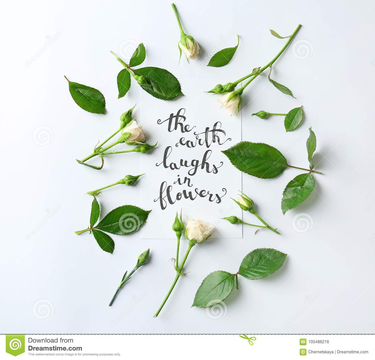 Detail Quotes About White Flowers Nomer 16