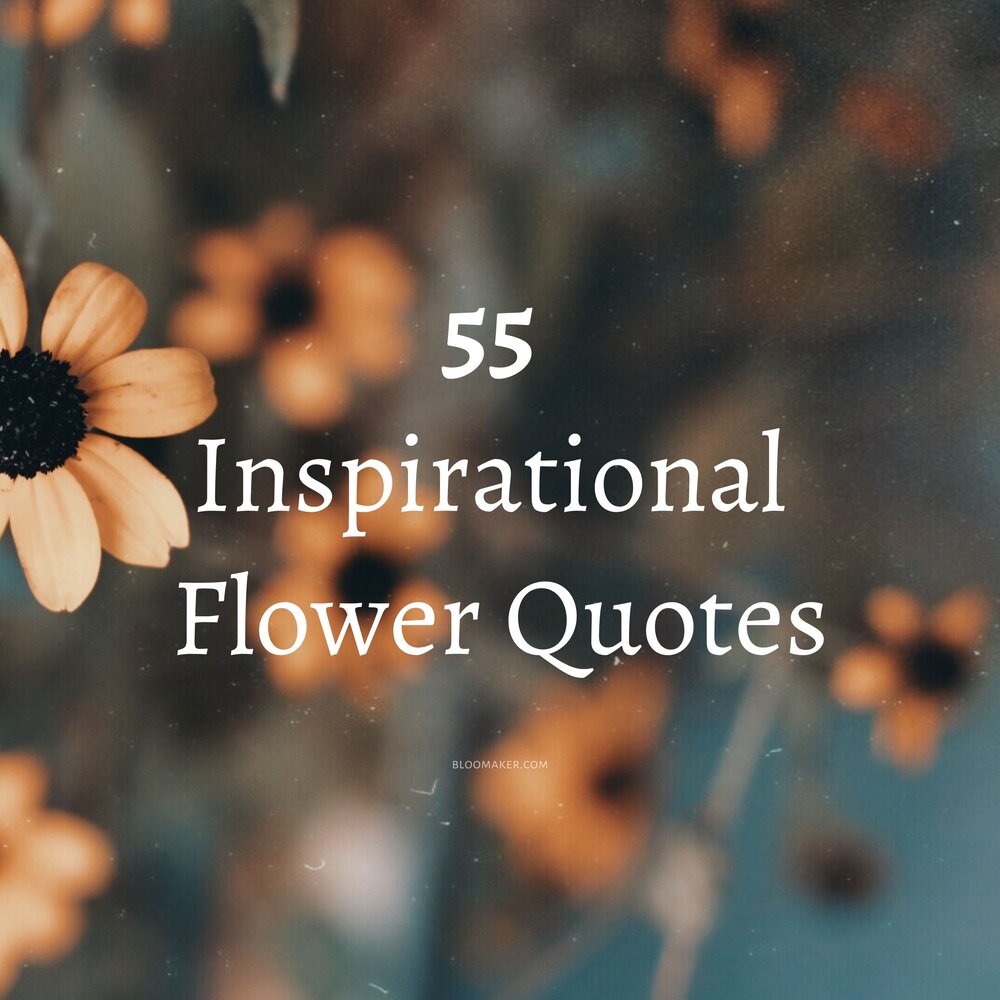 Detail Quotes About White Flowers Nomer 30