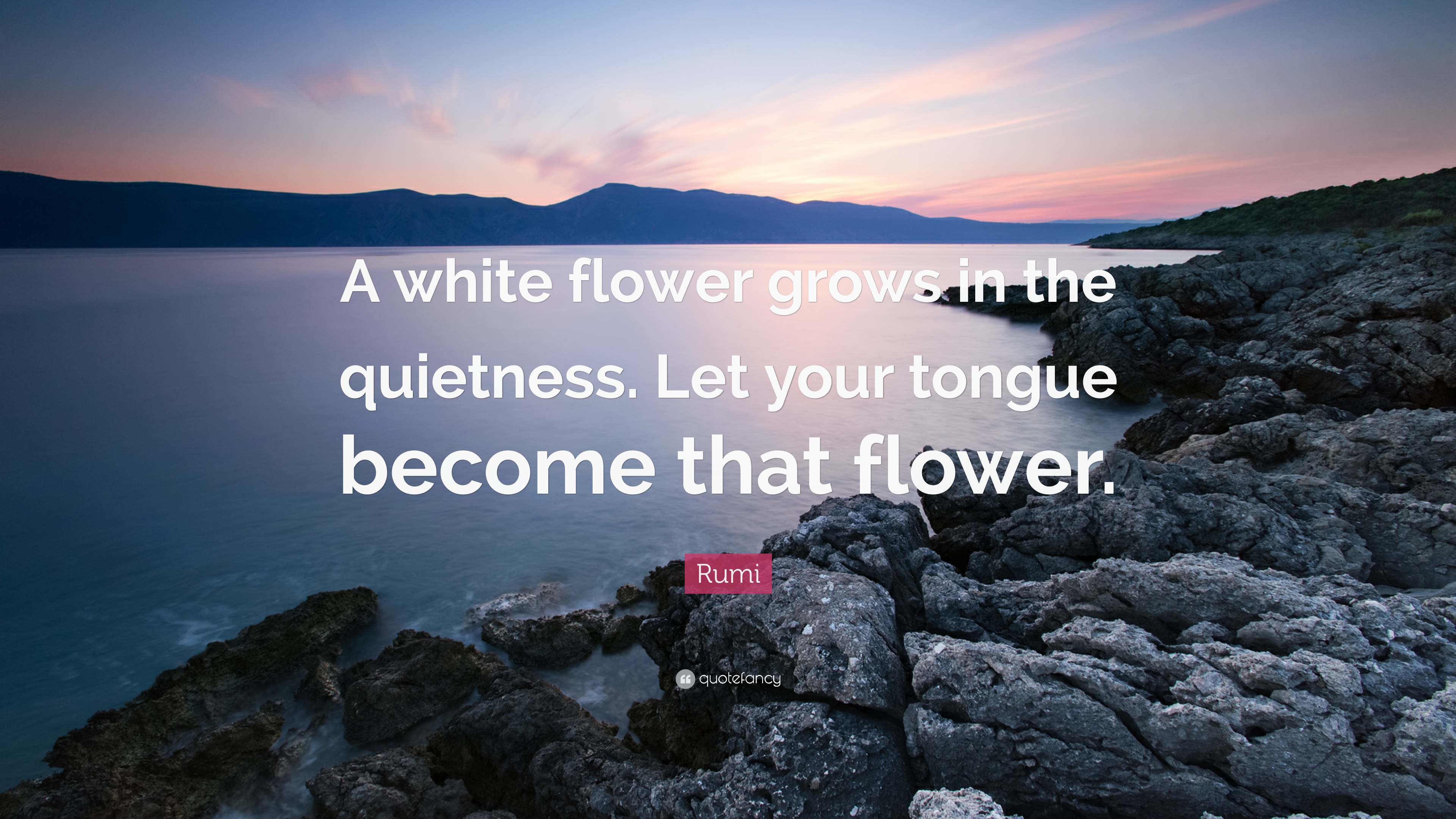 Detail Quotes About White Flowers Nomer 37