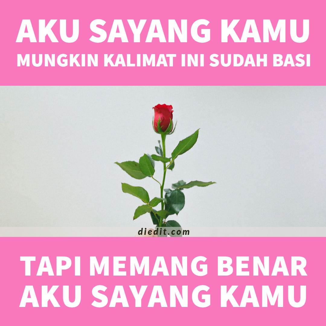 Detail Quotes Aku Sayang Kamu Nomer 23