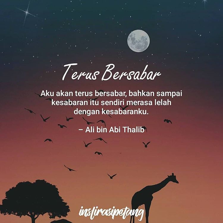 Detail Quotes Ali Bin Abi Thalib Tentang Rindu Nomer 16