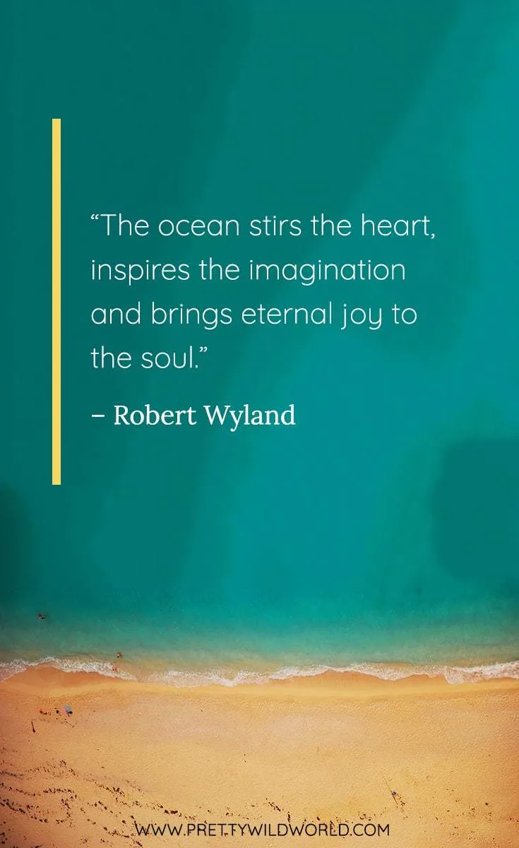 Detail Quotes Beach Sunset Nomer 38