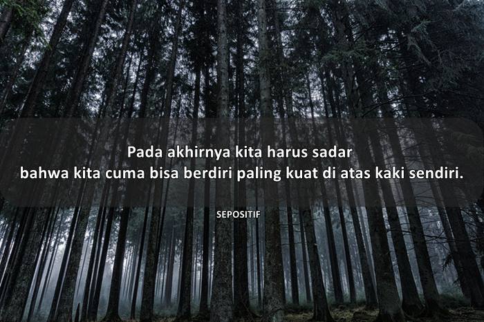 Detail Quotes Berjuang Sendiri Nomer 11