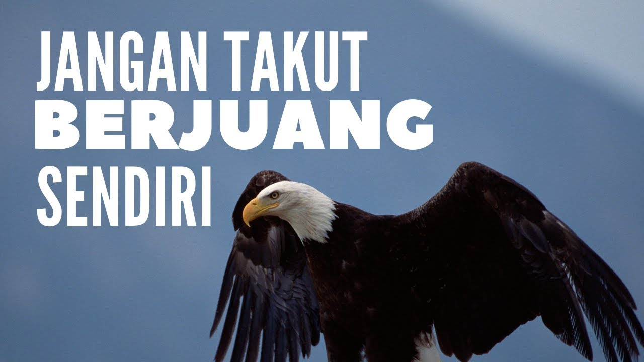 Detail Quotes Berjuang Sendiri Nomer 37
