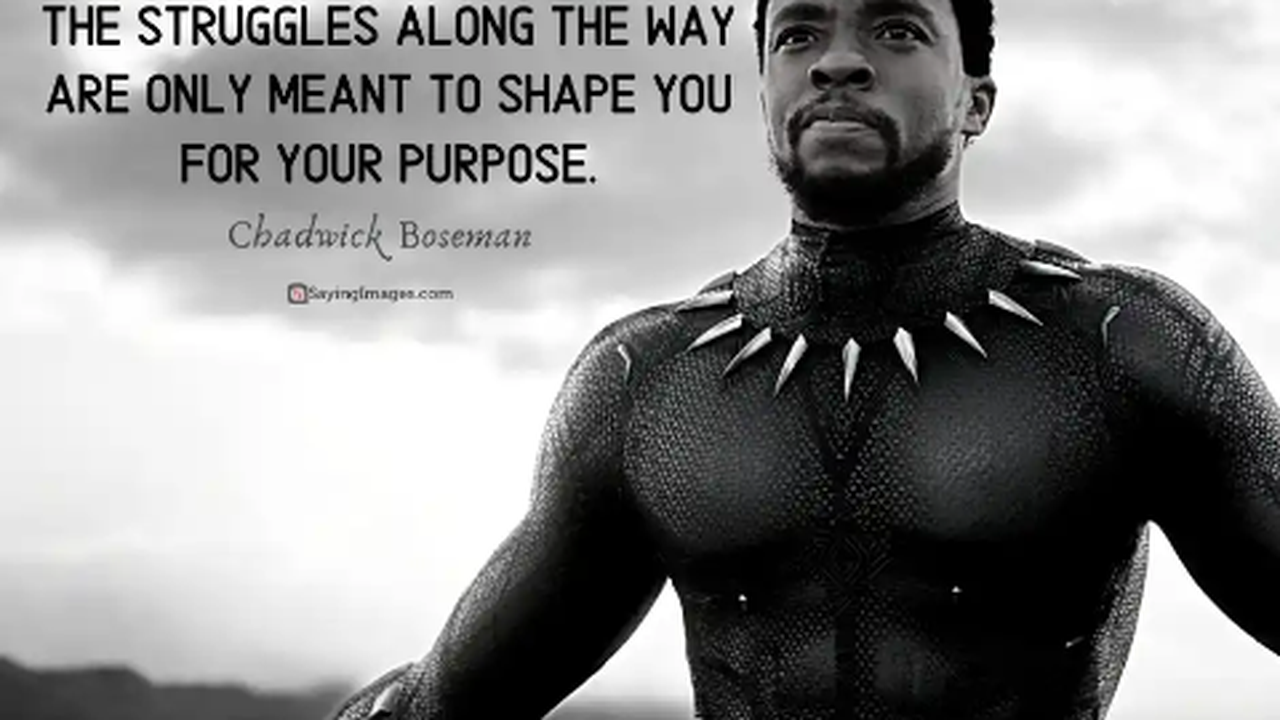 Download Quotes Black Panther Nomer 22