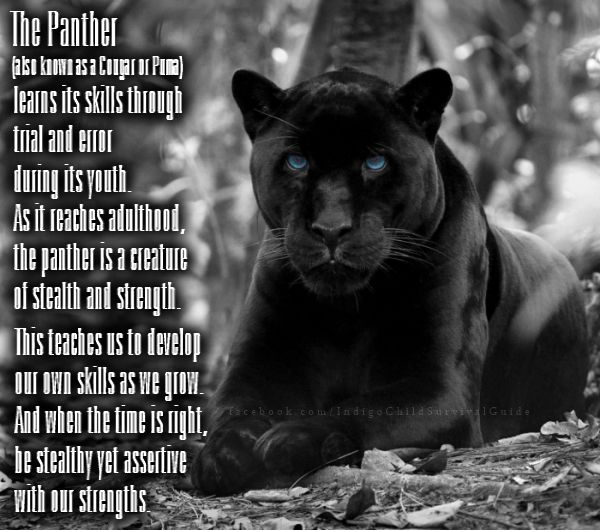 Detail Quotes Black Panther Nomer 37