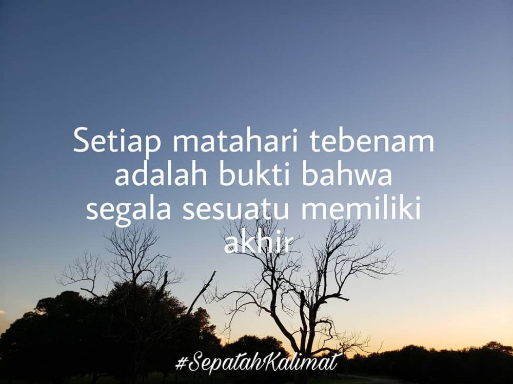 Detail Quotes Caption Bijak Nomer 48