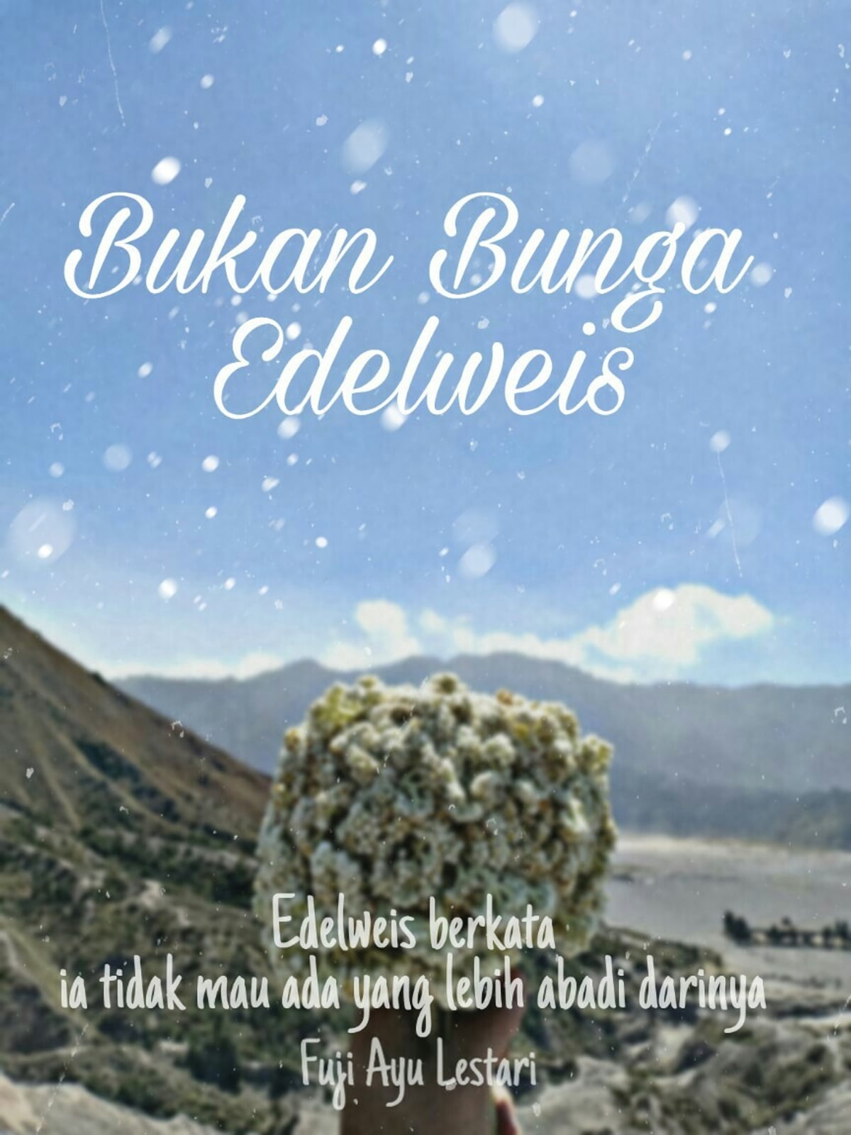 Detail Quotes Cinta Bunga Edelweis Nomer 7