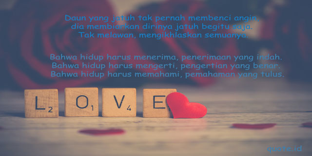 Detail Quotes Cinta Dari Novel Nomer 43