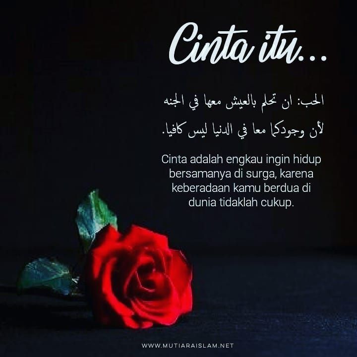 Detail Quotes Cinta Islam Nomer 6