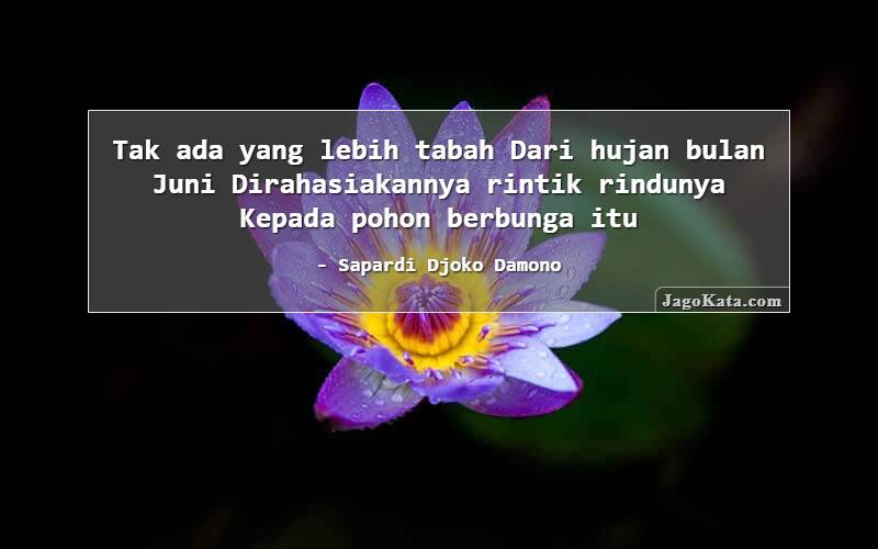 Detail Quotes Cinta Tentang Bulan Nomer 28