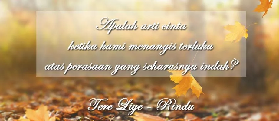 Detail Quotes Cinta Tere Liye Nomer 30