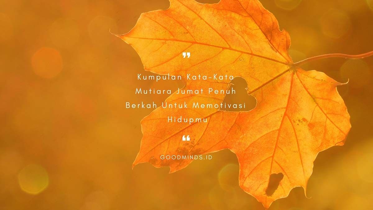 Quotes Daun Maple - KibrisPDR