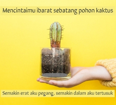 Detail Quotes Filosofi Kaktus Nomer 9