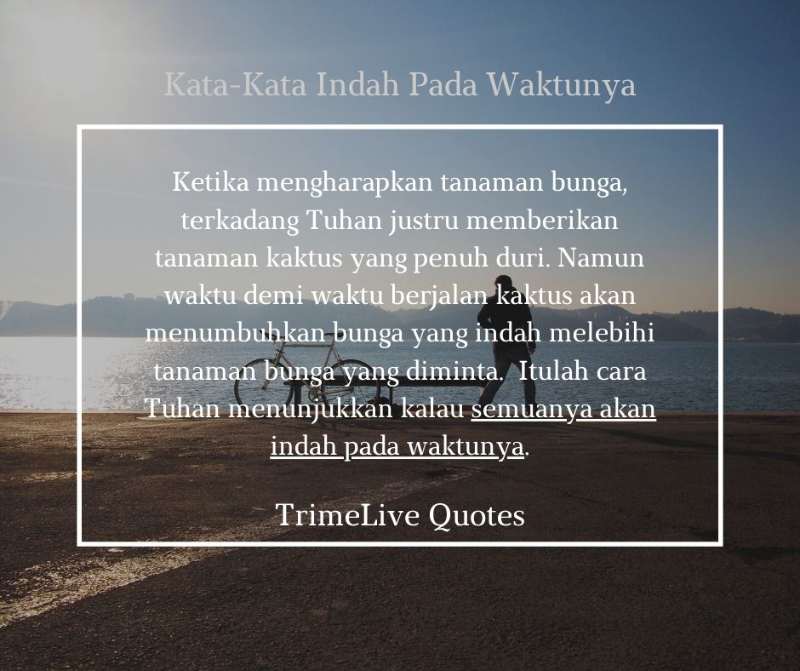 Detail Quotes Filosofi Kaktus Nomer 25