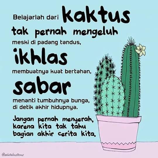 Detail Quotes Filosofi Kaktus Nomer 5