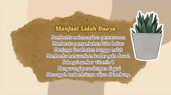 Detail Quotes Filosofi Kaktus Nomer 42