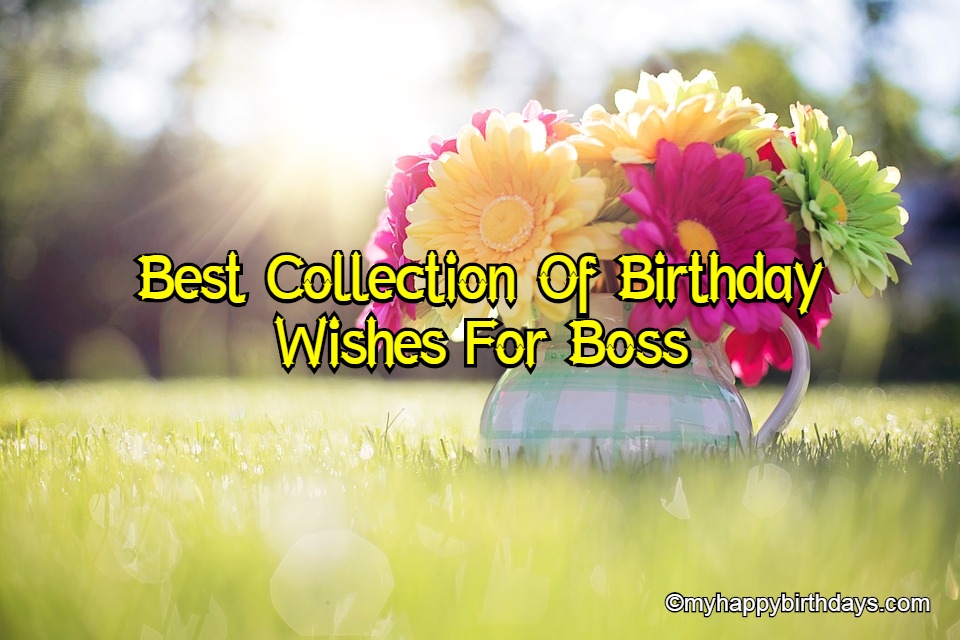 Detail Quotes For Birthday Boss Nomer 48