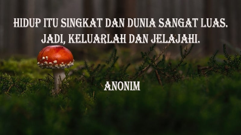 Detail Quotes Ig Bijak Nomer 46