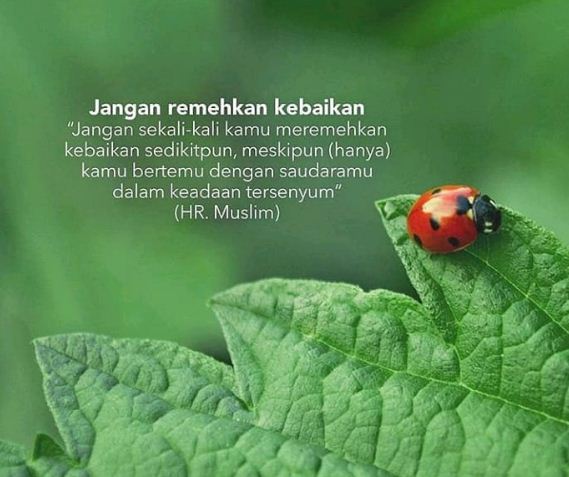 Detail Quotes Islam Singkat Nomer 51