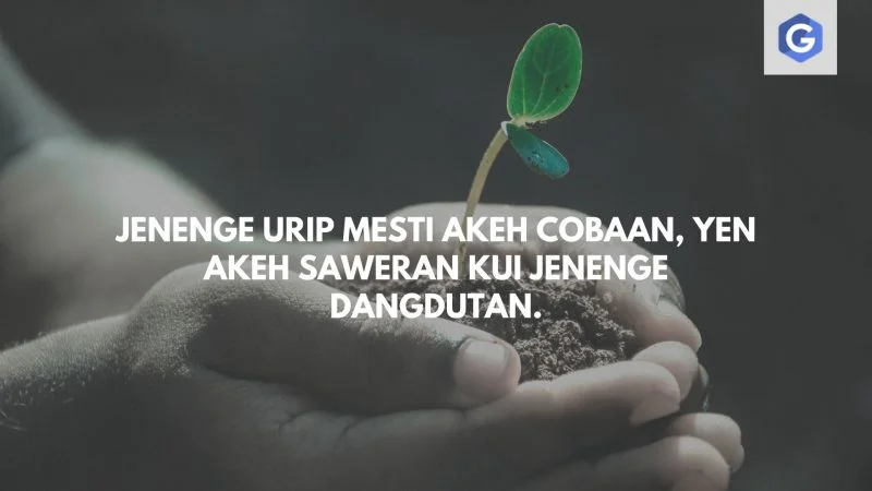 Detail Quotes Jowo Sangar Nomer 41