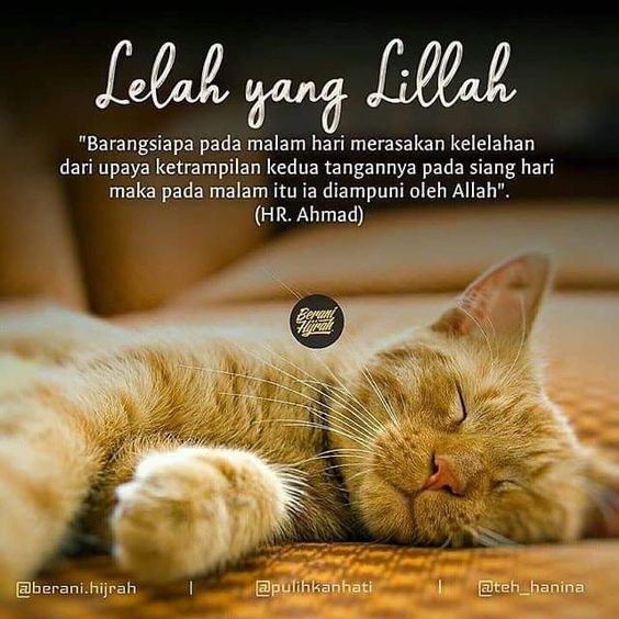 Detail Quotes Lelah Dengan Keadaan Nomer 33