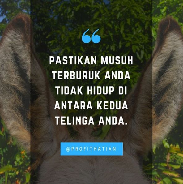 Detail Quotes Lucu Tapi Bermakna Nomer 52