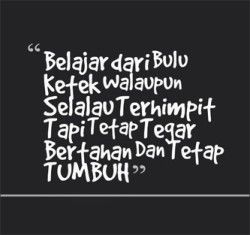 Detail Quotes Lucu Tapi Bijak Nomer 7