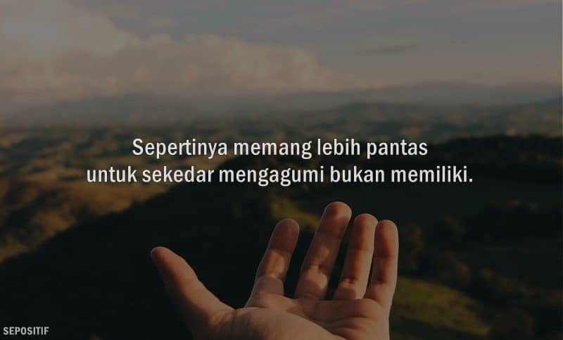 Detail Quotes Menyerah Dalam Cinta Nomer 24