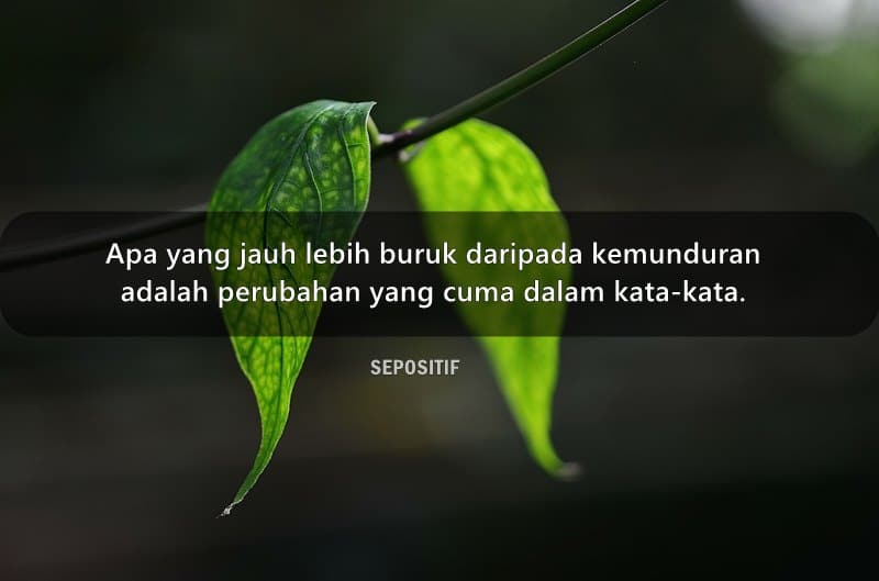 Detail Quotes Menyerah Dalam Cinta Nomer 29