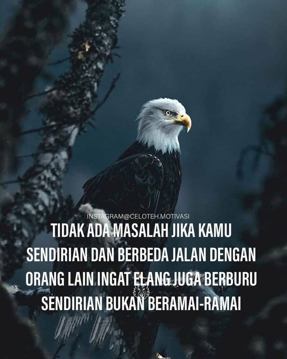 Detail Quotes Motivasi Pagi Nomer 16