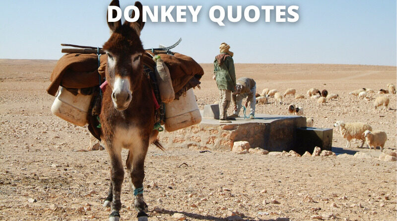 Detail Quotes On Donkey Nomer 25
