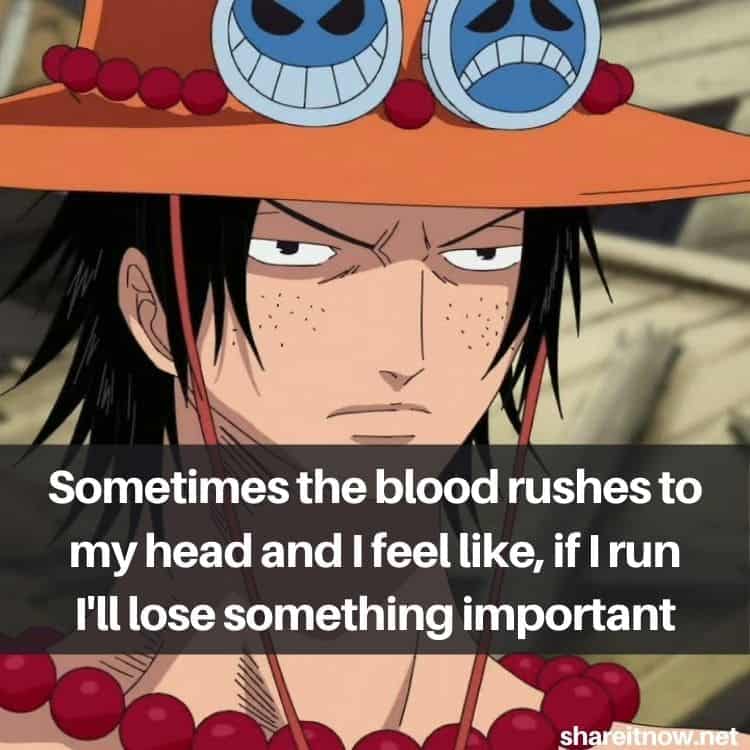 Detail Quotes One Piece Nomer 20