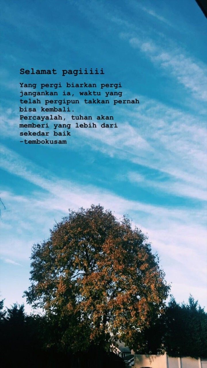 Detail Quotes Pagi Rindu Nomer 15