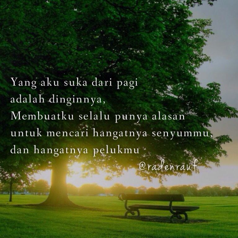 Detail Quotes Pagi Rindu Nomer 5