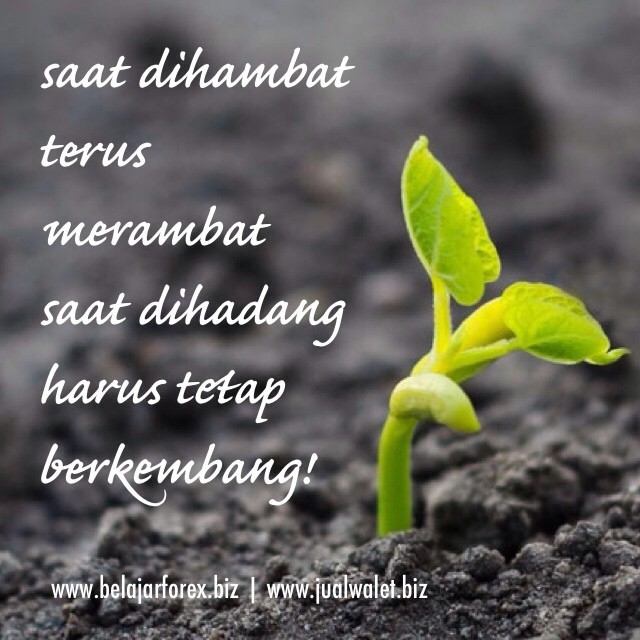 Detail Quotes Pagi Semangat Nomer 27