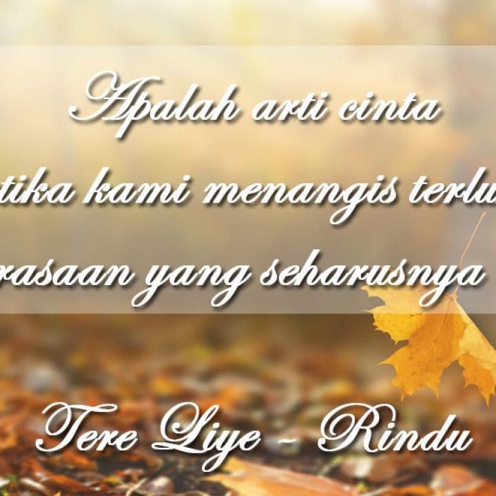 Detail Quotes Pergi Tere Liye Nomer 16